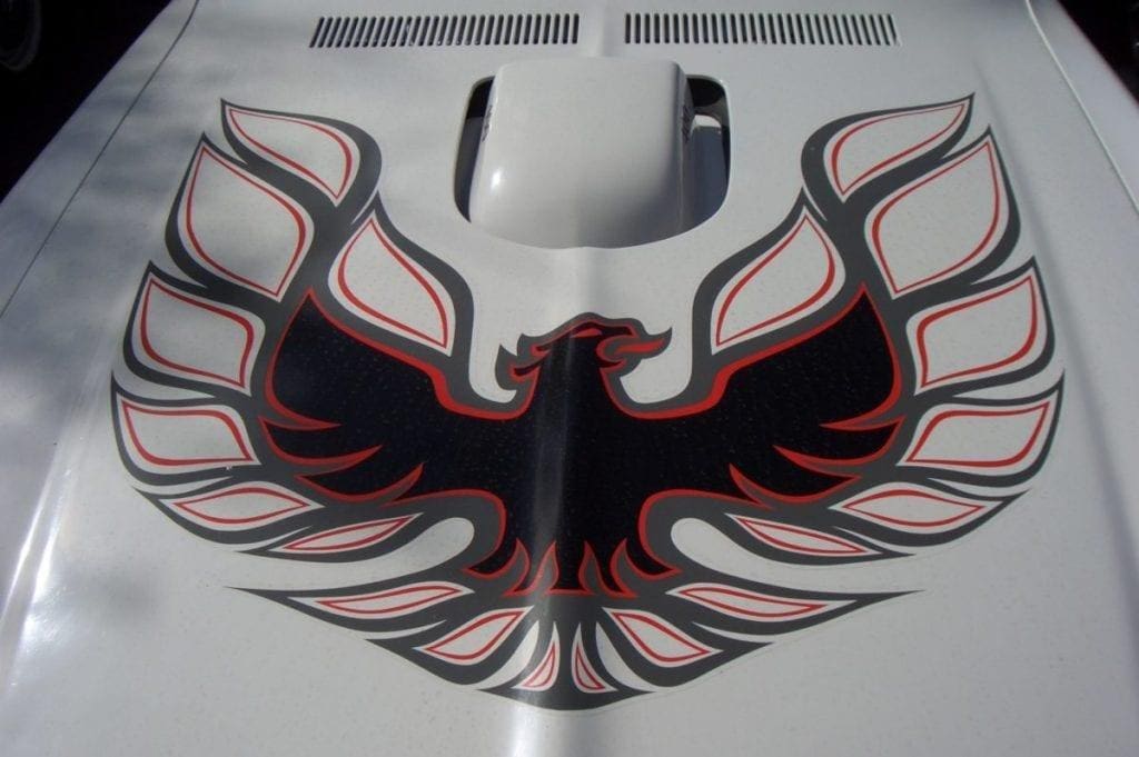 Trans Am Screaming Chicken