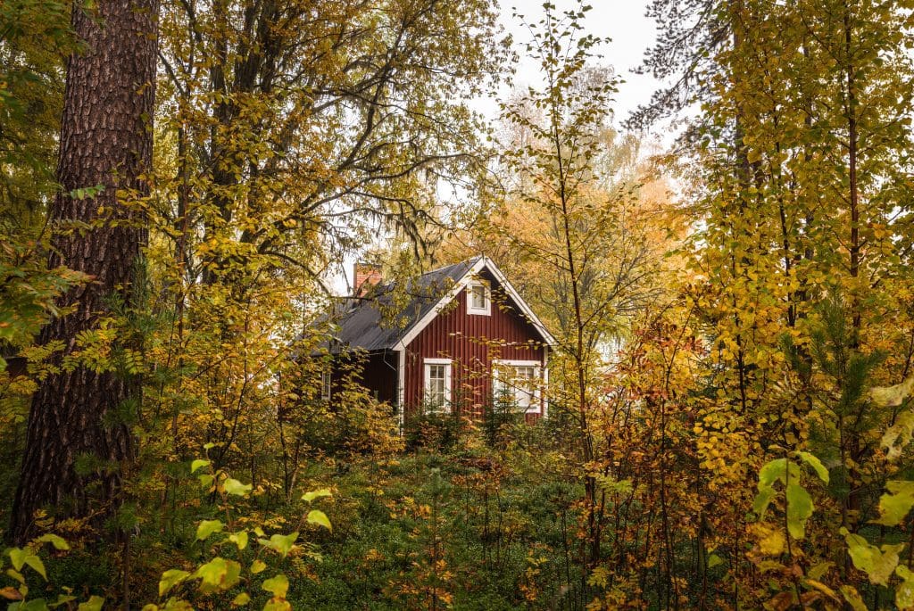small cabin in the woods